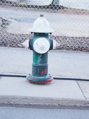 NC Folk Festival photograph 7